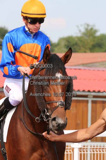 ET0Q0003 prot